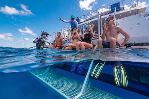 Calypso Outer Great Barrier Reef Cruise From Port Douglas - Accommodation Sunshine Coast 4