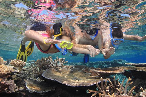 Calypso Outer Great Barrier Reef Cruise From Port Douglas - Accommodation Sunshine Coast 10