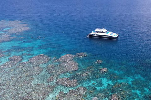 Calypso Outer Great Barrier Reef Cruise From Port Douglas - Accommodation Sunshine Coast 11