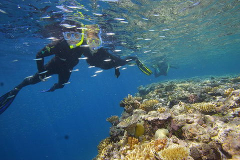 Calypso Outer Great Barrier Reef Cruise From Port Douglas - Accommodation Sunshine Coast 3
