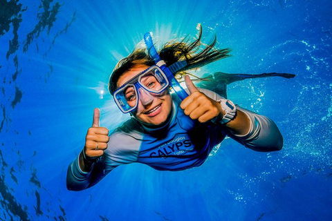 Calypso Outer Great Barrier Reef Cruise From Port Douglas - Accommodation Sunshine Coast 2