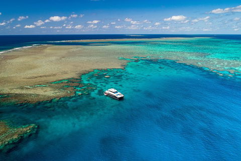 Calypso Outer Great Barrier Reef Cruise From Port Douglas - Accommodation Sunshine Coast 12