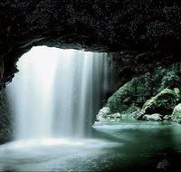 Natural Bridge Glow Worm Night Tour from Gold Coast - Accommodation Sunshine Coast