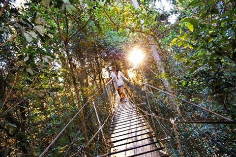 O'Reilly's Lamington National Park And Treetop Canopy Tour - Accommodation Sunshine Coast 0