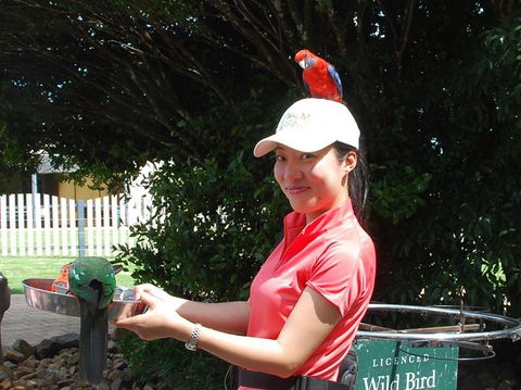 O'Reilly's Lamington National Park And Treetop Canopy Tour - Accommodation Sunshine Coast 5