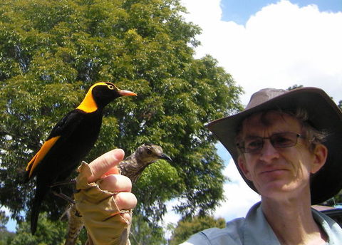 O'Reilly's Lamington National Park And Treetop Canopy Tour - Accommodation Sunshine Coast 4