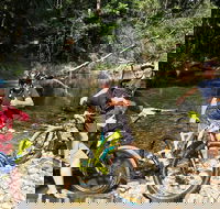 Electric Mountain Bike Rainforest Eco Tour - Accommodation Sunshine Coast