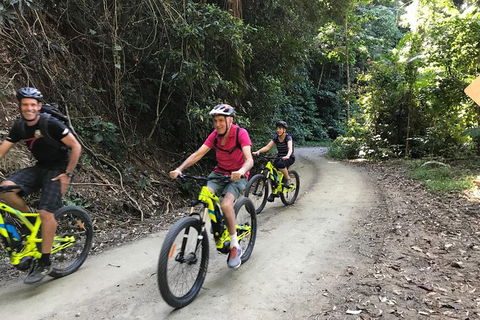 Electric Mountain Bike Rainforest Eco Tour - Accommodation Sunshine Coast 1