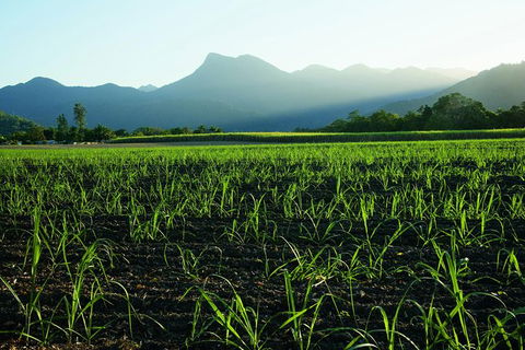 Private Transfer 4 To 6 Passengers, Cairns <> Port Douglas. One Way. - Accommodation Sunshine Coast 4