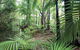 Private Transfer 4 To 6 Passengers, Cairns <> Port Douglas. One Way. - thumb 8