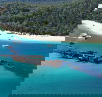 All Inclusive Dolphin and Tangalooma Wrecks Cruise Departing Gold Coast - Accommodation Sunshine Coast