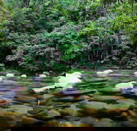 Mossman Silky Oaks to/from Cairns - Accommodation Sunshine Coast