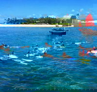 Low Island Snorkelling Private Charter Aboard Authentic Chinese Junk Boat - Accommodation Sunshine Coast