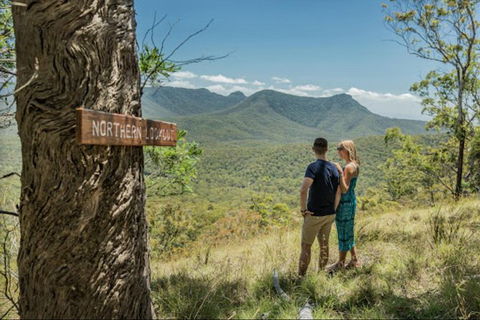 Queensland Food Tour: The Ultimate Delectable Full Day Experience - Accommodation Sunshine Coast 1