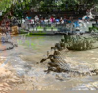 Hartley's Crocodile Adventures General Entry Ticket - Accommodation Sunshine Coast