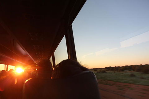 Kings Canyon Day Trip From Ayers Rock - Accommodation Sunshine Coast 22