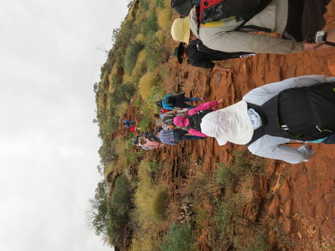 Kings Canyon Day Trip From Ayers Rock - Accommodation Sunshine Coast 14