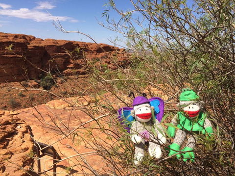 Kings Canyon Day Trip From Ayers Rock - Accommodation Sunshine Coast 23