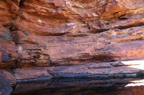 Kings Canyon Day Trip From Ayers Rock - Accommodation Sunshine Coast 16