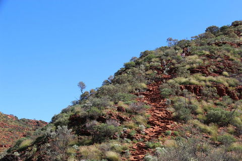 Kings Canyon Day Trip From Ayers Rock - Accommodation Sunshine Coast 21