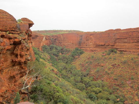 Kings Canyon Day Trip From Ayers Rock - Accommodation Sunshine Coast 13