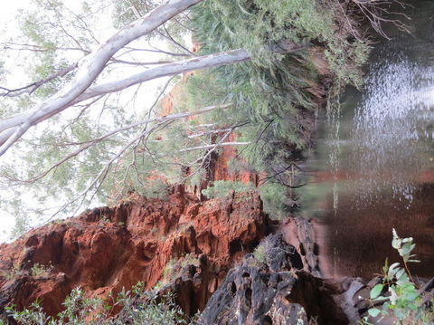Kings Canyon Day Trip From Ayers Rock - Accommodation Sunshine Coast 11