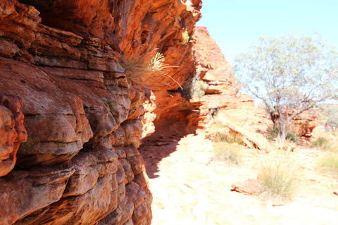 Kings Canyon Day Trip From Ayers Rock - Accommodation Sunshine Coast 20
