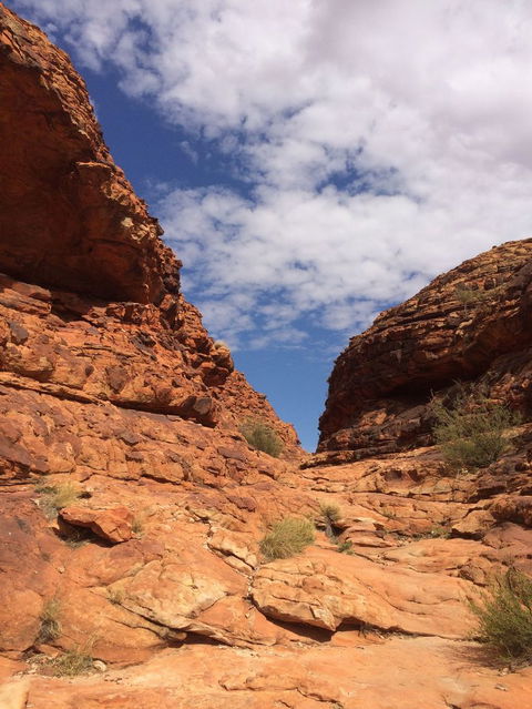 Kings Canyon Day Trip From Ayers Rock - Accommodation Sunshine Coast 25