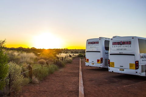 Uluru And Kata Tjuta Experience With BBQ Dinner - Accommodation Sunshine Coast 4