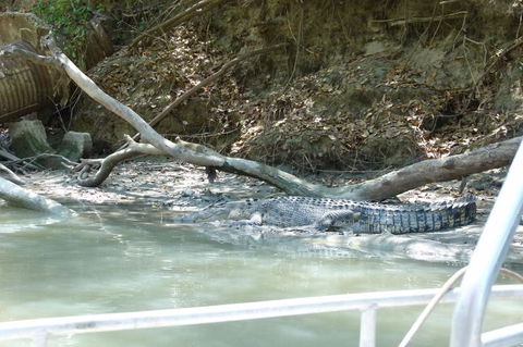 Kakadu Full-Day Tour From Darwin With Lunch - Accommodation Sunshine Coast 2