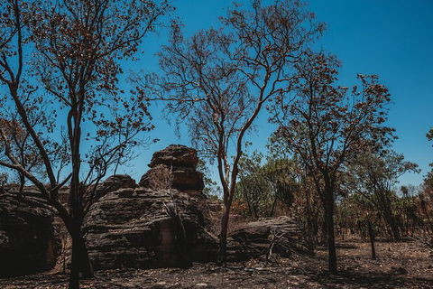 Kakadu Full-Day Tour From Darwin With Lunch - Accommodation Sunshine Coast 6
