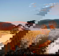 Uluru Ayers Rock Sunset with Outback Barbecue Dinner and Star Tour - Accommodation Sunshine Coast