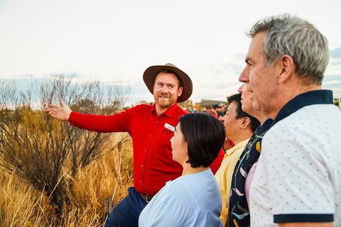 Uluru (Ayers Rock) Sunset With Outback Barbecue Dinner And Star Tour - Accommodation Sunshine Coast 22