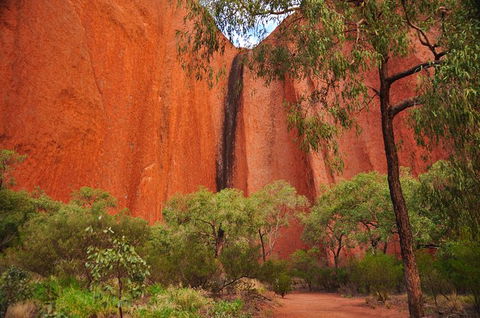 Uluru Sunrise And Guided Base Walk - Accommodation Sunshine Coast 14