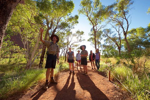 Uluru Small Group Tour Including Sunset - Accommodation Sunshine Coast 5