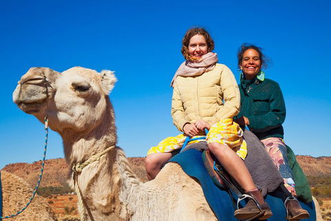 Alice Springs Camel Tour - Accommodation Sunshine Coast 8