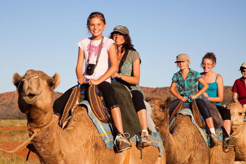 Alice Springs Camel Tour - Accommodation Sunshine Coast 1