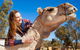 Alice Springs Camel Tour - thumb 6