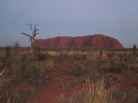 Uluru Base And Sunset Half-Day Trip With Optional Outback BBQ Dinner - Accommodation Sunshine Coast 3