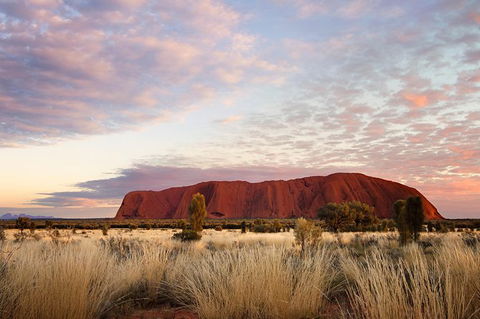 Uluru Base And Sunset Half-Day Trip With Optional Outback BBQ Dinner - Accommodation Sunshine Coast 15
