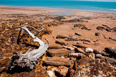 Darwin Shore Excursion: Hop-on Hop-off Bus Tour - Accommodation Sunshine Coast 9