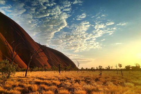 Highlights Of Uluru Including Sunrise And Breakfast - Accommodation Sunshine Coast 5