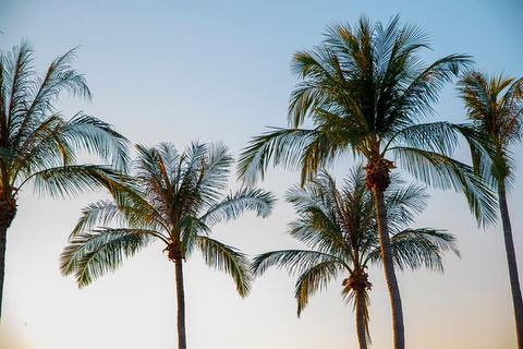 Darwin City Sightseeing Tour With Optional Sunset Cruise - Accommodation Sunshine Coast 1