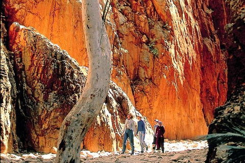 West MacDonnell Ranges Day Trip From Alice Springs - Accommodation Sunshine Coast 7