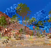 Palm Valley 4WD Tour from Alice Springs - Accommodation Sunshine Coast