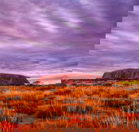 4-Day Camping Trip from Ayers Rock Including Uluru Kata Tjuta and Kings Canyon - Accommodation Sunshine Coast