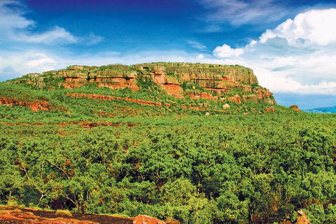 Kakadu, Nourlangie And Yellow Waters Tour From Darwin - Accommodation Sunshine Coast 1