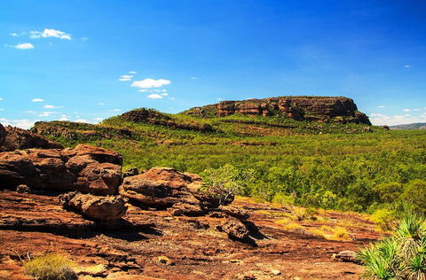 Kakadu, Nourlangie And Yellow Waters Tour From Darwin - Accommodation Sunshine Coast 34