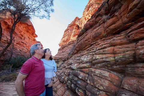 3-Day Alice Springs To Uluru (Ayers Rock) Via Kings Canyon Tour - Accommodation Sunshine Coast 17