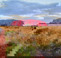 2-Day Uluru Ayers Rock National Park Explorer Trip from Alice Springs - Accommodation Sunshine Coast
